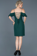 Короткое Платье На Приглашение Изумрудно-зеленый ABK197