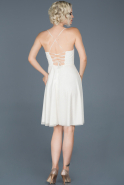 Короткое Платье На Приглашение Белый ABK591