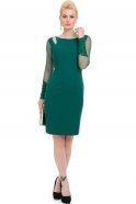 Короткое Вечернее Платье зелёный NZ8087