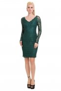 Короткое Коктейльное Платье зелёный A60237