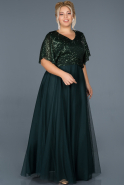 Длинное Пригласительное Платье Изумрудно-зеленый ABU964