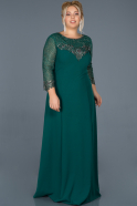 Длинное Пригласительное Платье Изумрудно-зеленый ABU961