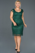 Короткое Свободное Вечернее Платье Изумрудно-зеленый ABK010