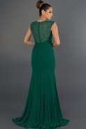 Длинное Вечернее Платье зелёный F1554