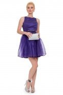 Короткое Вечернее Платье Пурпурный NA6180