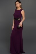 Длинное Вечернее Платье Пурпурный AR36813