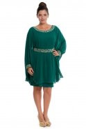 Короткое Свободное Вечернее Платье Изумрудно-зеленый C9024