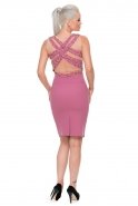 Короткое Вечернее Платье Пыльно-розовый NZ8415