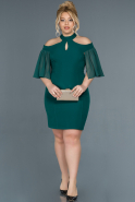 Короткое Свободное Вечернее Платье Изумрудно-зеленый ABK059