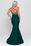 Длинное Вечернее Платье Изумрудно-зеленый GG6876