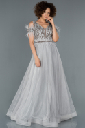 Длинное Помолвочное Платье Серый ABU1181