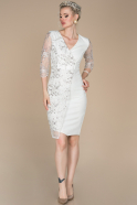 Короткое Платье На Приглашение Белый ABK832