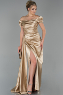 Длинное Атласное Платье Для Помолвки Золотой ABU1606