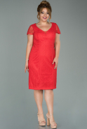 Короткое Свободное Вечернее Платье красный ABK1027