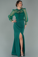 Длинное Вечернее Платье Изумрудно-зеленый ABU1881