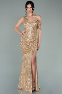Длинное Вечернее Платье Золотой ABU2151