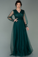 Длинное Вечернее Платье Изумрудно-зеленый ABU1549