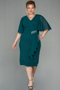 Короткое Платье Большого Размера Изумрудно-зеленый ABK1581
