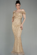 Длинное Вечернее Платье Золотой ABU2963