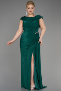 Платье для помолвки большого размера Длинный Изумрудно-зеленый ABU3734