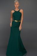 Длинное Вечернее Платье Изумрудно-зеленый C7274