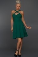 Короткое Вечернее Платье зелёный C8020