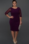 Короткое Свободное Вечернее Платье Пурпурный AR36807