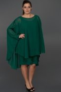 Вечернее Платье Свободного Кроя зелёный C9015