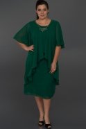 Короткое Свободное Вечернее Платье Изумрудно-зеленый C9028