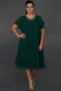Короткое Свободное Вечернее Платье Изумрудно-зеленый ABK082