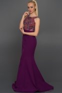 Длинное Вечернее Платье Пурпурный AN2394