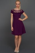 Короткое Вечернее Платье Пурпурный AR36866
