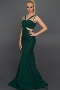 Длинное Вечернее Платье Изумрудно-зеленый ABU160