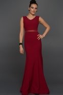 Длинное Вечернее Платье Бордовый ABU284