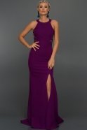 Длинное Вечернее Платье Пурпурный AN2402
