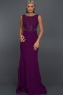 Длинное Вечернее Платье Пурпурный AN2476