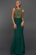 Длинное Вечернее Платье Изумрудно-зеленый ABU330