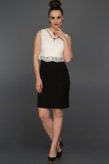 Короткое Вечернее Платье Черный-Белый N98523
