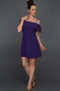 Короткое Вечернее Платье Пурпурный AR36933