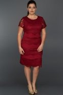Короткое Свободное Вечернее Платье Бордовый N98515
