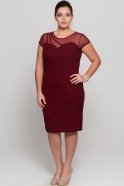 Короткое Платье Большого Размера Бордовый AR36676