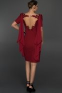 Короткое Вечернее Платье Бордовый ALY7455