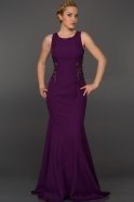 Длинное Вечернее Платье Пурпурный AN2404