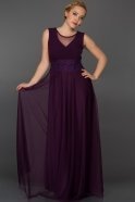 Длинное Вечернее Платье Пурпурный AR36824