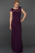 Длинное Вечернее Платье Пурпурный AR36883