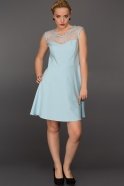 Короткое Вечернее Платье Синий AR36949