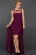 Длинное Вечернее Платье Фиолетовый AR36952