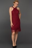 Короткое Вечернее Платье Бордовый ES3540