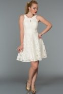 Короткое Вечернее Платье Белый DS264