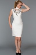 Короткое Вечернее Платье Белый DS304